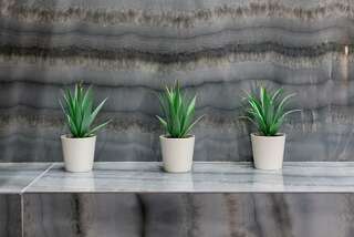 Гостиница Асгард Калининград Номер стандарт улучшенный с 1 двуспальной кроватью-64