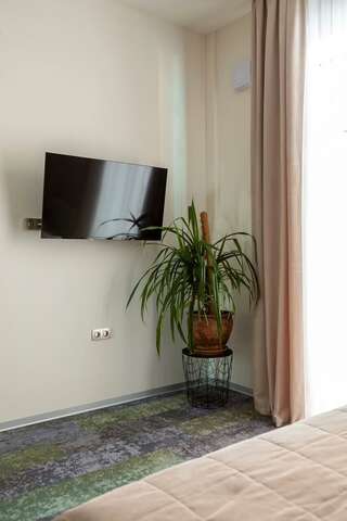 Гостиница Асгард Калининград Номер стандарт с 1 двуспальной кроватью-8